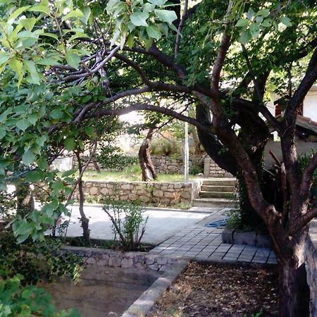 Apartman "Tartaruga" Луково Екстер'єр фото