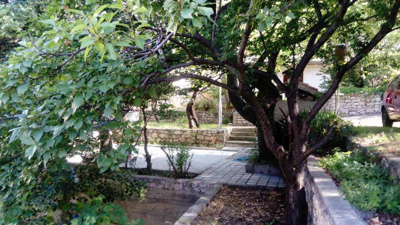 Apartman "Tartaruga" Луково Екстер'єр фото